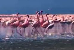 اهل نمازشب این کلیپ رو ببینند