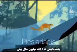 تکامل حدود ۴ میلیارد سال پیش تا امروز!