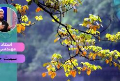 سمت خدا .طریقه توبه . ج 3