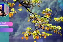 سمت خدا .  آثار گناه. ج.5