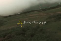 واکنش علیرضا قربانی به حادثه تلخ سوختن جنگل‌های هیرکانی؛ درختان همه دود پیچان به تاراج باد