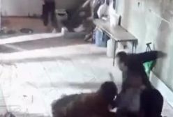 فیلم حمله اراذل و اوباش به یک زوج سالخورده در اهر + اراذل دستگیر شدند