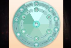 دکترین سبب و تسخیر