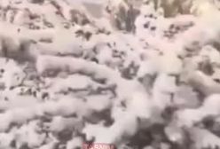 ویدیوی بارش اولین برف امسال ۳۱ شهریور ۱۴۰۴