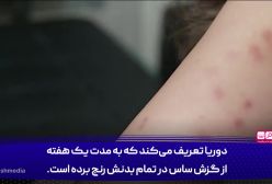 به اتهام جاسوسی برای ایران ما را شکنجه کردند!