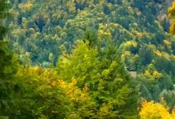 طبیعت منبع بی‌پایان الهام و آرامش