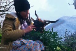 در دل طبیعت با مادر بزرگ