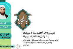 شرح زیارت جامعه کبیره ج41