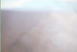 رویت شدن گربه بالدار در کرمان