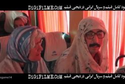 دانلود فیلم سینمایی طنز و کمدی سال گربه