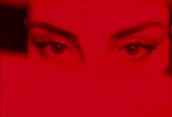 چالش تیک تاکی ترلان پروانه پربازدید شد