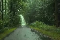 آهنگ طلوع از معین