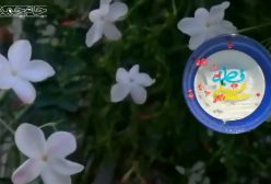 تبریک ولادت حضرت فاطمه تبریک روز زن