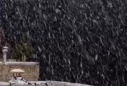 بارش برف در پیرانشهر 🌧 | بارش برف