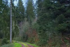 آهنگ دروغه_حبیب