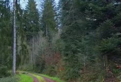 آهنگ عاشق که بشی از معین