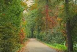 میدونم که نزدیک من نیستی