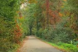 آهنگ تو رفتی دگر از عرفان طهماسبی