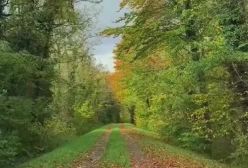 آهنگ مثل من از حامیم