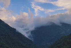 آهنگ غریبه از حسن شماعی زاده