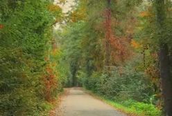 تو این شهر رضا صادقی