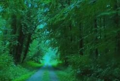 آهنگ حرفای عاشقونه از هایده