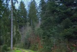 آهنگ ای دریغ از معین