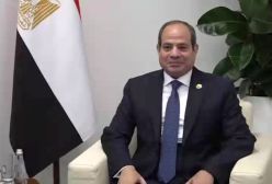 فیلم دیدار تاریخی مسعود پزشکیان با رئیس جمهور مصر!