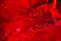 معراج شهید سیدحسن نصرالله