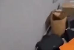 کشف پناهگاه زیرزمینی «ماهر اسد» برادر «بشار اسد» | 18 آذر 1403