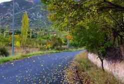 هنر دیدنی پاییز بر بوم طبیعت