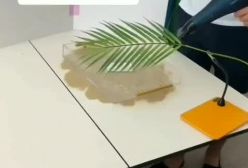 خلاقیت در ساخت تصاویر تبلیغاتی