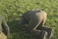 حرکت جالب توجه جولانی رهبر گروه مسلح تحریرالشام به محض ورورد به دمشق | 18 آذر 1403