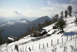 بارش برف شدید در ۲۶ استان/ یخبندان در تهران!