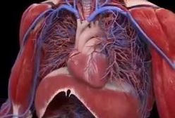 یَـٰٓأَیُّهَا ٱلۡإِنسَٰنُ مَا غَرَّکَ بِرَبِّکَ ٱلۡکَرِیمِ