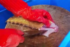 تهیه ساشیمی با ماهی های عجیب در چین