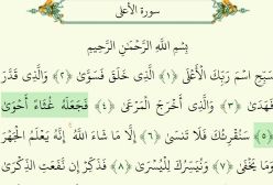 تلاوت قرآن. سوره اعلی. پرهیزگار