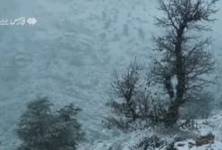 نخستین برف پاییزی گیلان را سفیدپوش کرد!