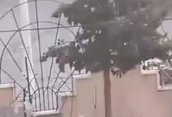 سوریه در مسیر طالبان | کودکان اسلحه به دست در خیابان های دمشق! ۱۸ آذر ۱۴۰۳