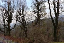 زندگی عشایری