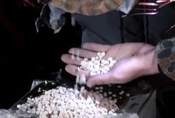 یک کارگاه تولید ماده مخدر صنعتی در فرودگاه دمشق کشف شد | 25 آذر 1403