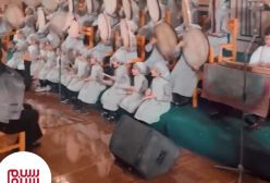 ایرج طهماسب در کنار علیرضا خمسه در یزد دیده شد