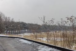 ببینید! هم‌اکنون بارش زیبای برف در تهران | 11 دی 1403