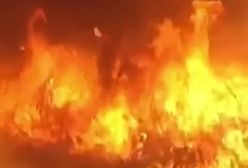 فوری! کانون جدید آتش سوزی در جنوب کالیفرنیا شروع شد | 25 دی 1403