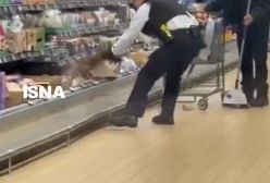 ببینید! پیدا شدن گرگ در یخچال یک فروشگاه | 25 دی 1403