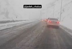 ببینید! بارش برف در جاده چالوس امروز | 8 دی 1403