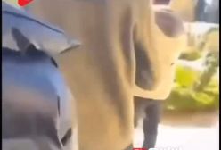 ربودن استاد از کلاس در حکومت جدید سوریه! | ۳ بهمن ۱۴۰۳