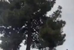 لحظه زیبای تحویل نوروز 1404 در حافظیه شیراز | 30 اسفند 1403