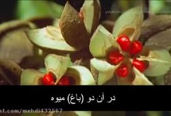 تلاوت سوره الرحمن با صوت زیبا و تصویر