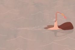 انیمیشن در سایه سرو نسخه کامل | برنده ایرانی اسکار 2025